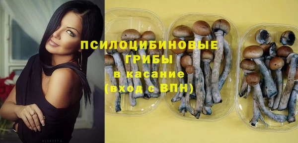 PSILOCYBIN Магадан