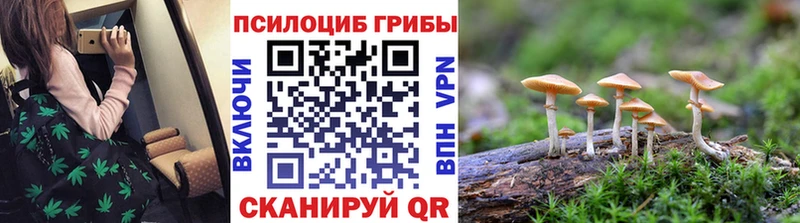 Галлюциногенные грибы мицелий  купить наркотик  Ахтырский 